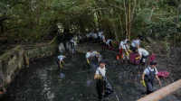 Hari Sungai Nasional: Meningkatkan Kesadaran Masyarakat akan Pentingnya Aliran Bersih