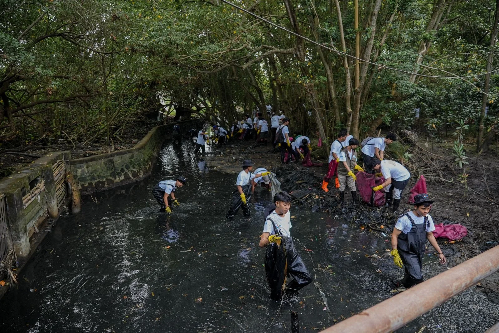 Hari Sungai Nasional: Meningkatkan Kesadaran Masyarakat akan Pentingnya Aliran Bersih