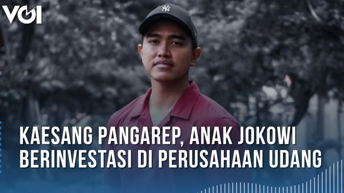 Kaesang Pangarep dan Kondisi Perusahaan Udang yang Nyaris Tumbang