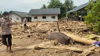 Kematian 5 Peserta SPPI: Alarm Serius Bagi Pemerintah