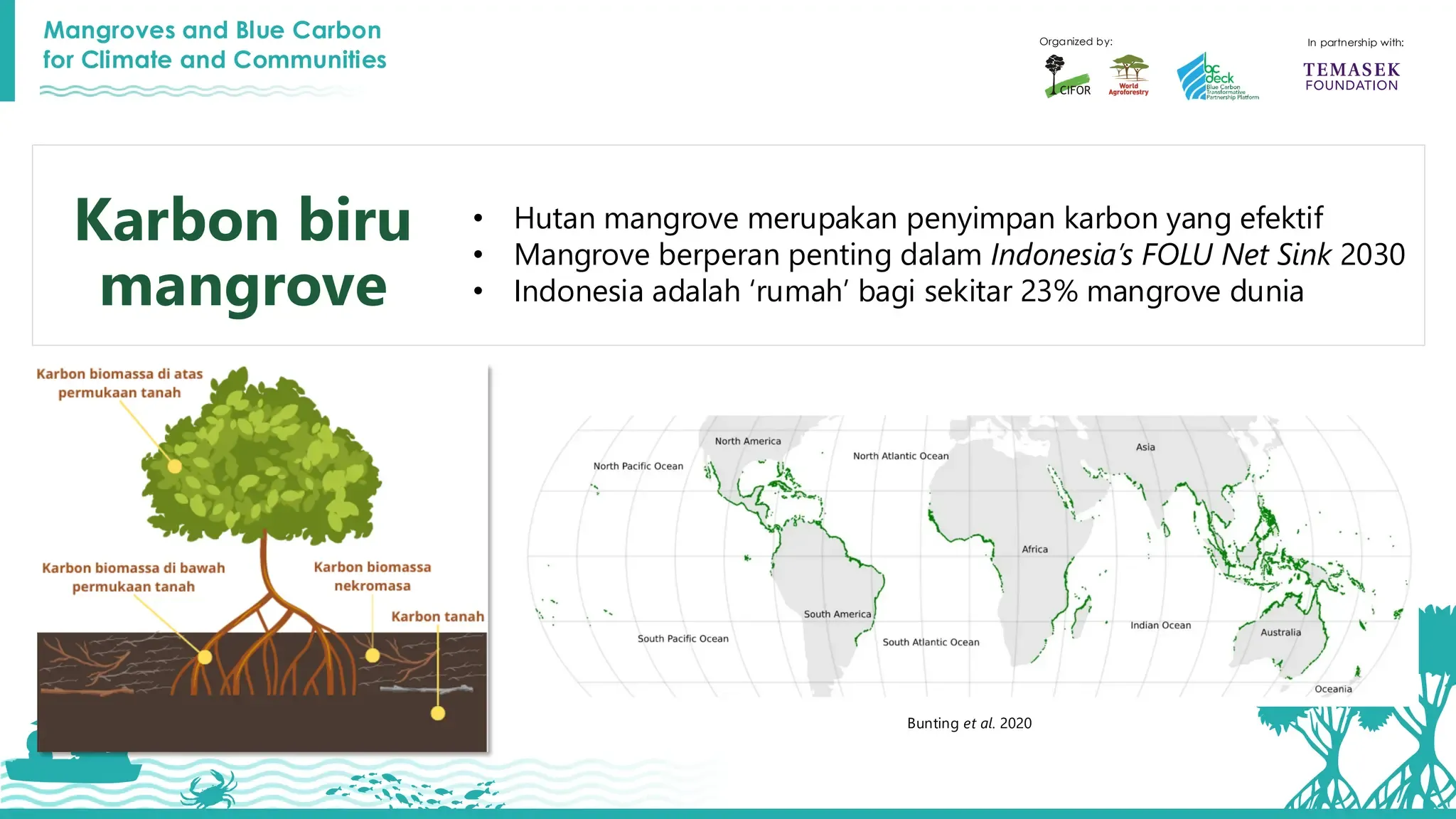 Mangrove Indonesia: Bank Mandiri Perkuat Dukungan Ekosistem Karbon Biru Lewat Livin