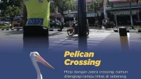 Mengenal Pelican Crossing: Fungsi, Aturan, dan Sanksi bagi Pelanggar