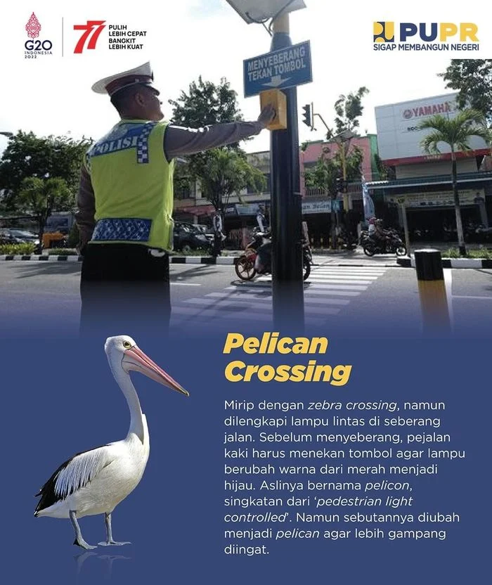 Mengenal Pelican Crossing: Fungsi, Aturan, dan Sanksi bagi Pelanggar