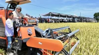 Miris, 70 Persen Petani Kini Jadi Buruh Tani, Zulhas Kebut Swasembada Pangan