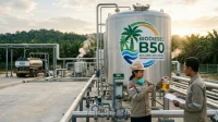 Penggunaan B50 FKBI: Ancaman 'Kanibal' Minyak Sawit Energi dengan Pangan