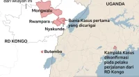 Wabah Ebola di Kongo: Ancaman Besar Bagi Ekonomi Afrika