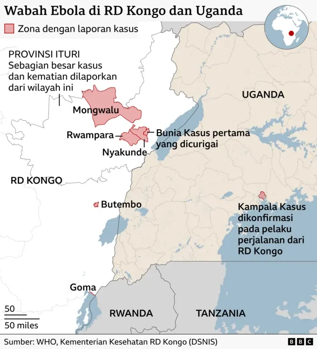 Wabah Ebola di Kongo: Ancaman Besar Bagi Ekonomi Afrika