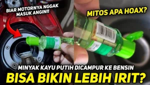Campur Minyak Kayu Putih ke Bensin Bikin Irit? Pakar IPB Buka Suara