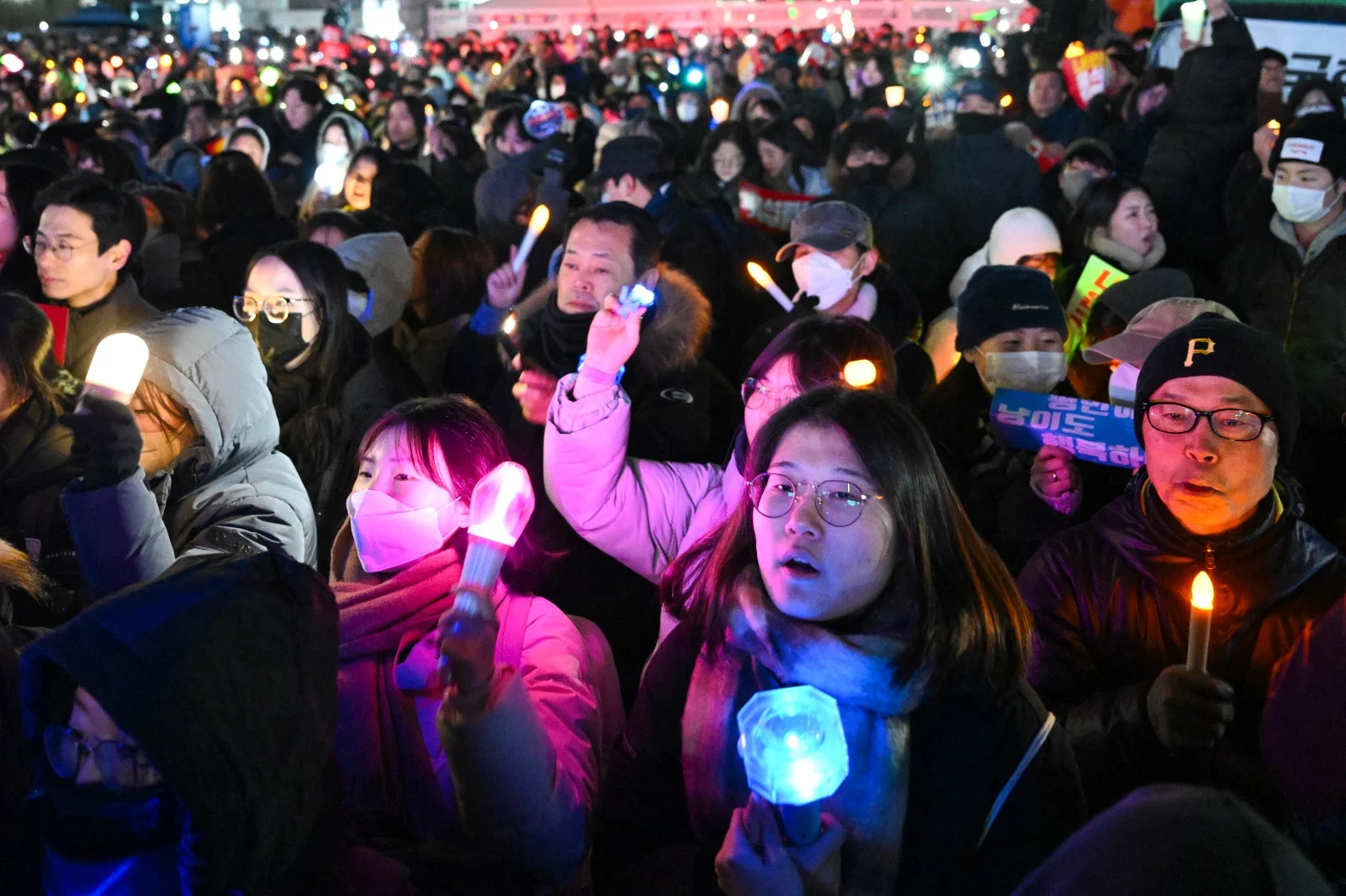 Fenomena Unik di Korea Selatan: Warga Rela Bayar Rp250 Ribu untuk Bawa Hewan Peliharaan ke Peramal Tarot