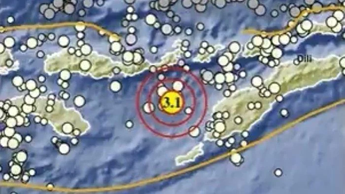Gempa Dahsyat 7,7 SR Mengguncang NTT, Kerusakan Parah di Maumere dan Labuan Bajo