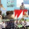 Istana Keluarkan Peringatan Tegas Terkait Pencopotan Kapolda dan Pangdam Imbas Karhutla