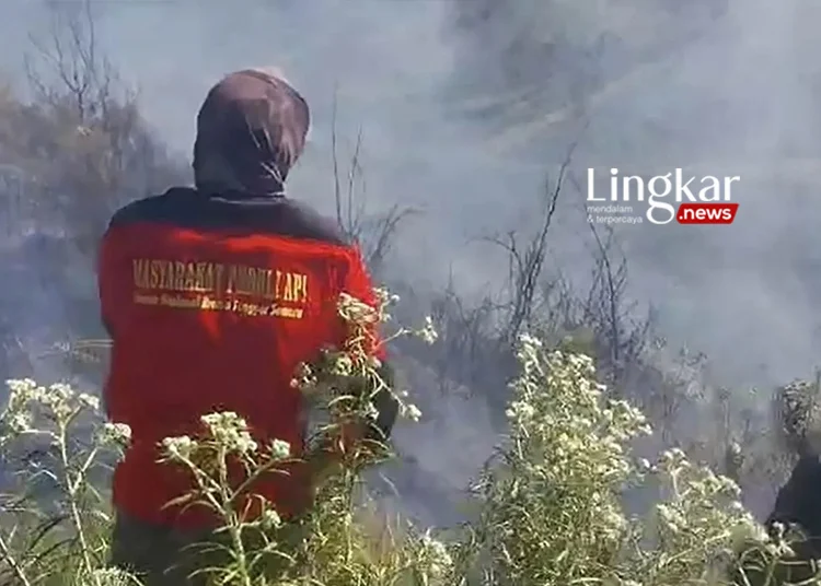 Karhutla di Kawasan Taman Nasional Bromo Tengger Semeru Memasuki Hari Kelima
