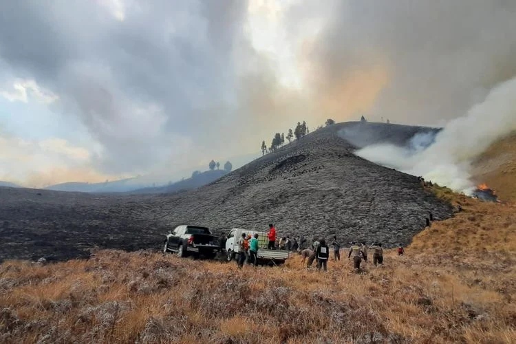 Kebakaran Hutan Bromo: Pengawasan Lemah dan Perjuangan Tim Gabungan