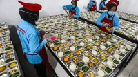 Menghidupkan Ekonomi Daerah Melalui Sinergi Program Makan Bergizi Gratis dan Koperasi Desa