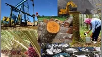 Mengubah Sumber Daya Alam menjadi Kekuatan Industri Nasional