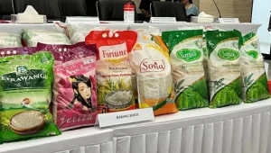 Mentan Amran Temukan 15 Merek Beras Fortifikasi Tidak Memenuhi Standar Mutu