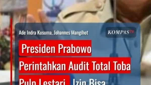 Skandal Keuangan PT Toba Pulp Lestari: Audit Pajak Dicurigai Disulap