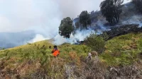 Upaya Pemadaman Kebakaran di Taman Nasional Bromo Upaya Pemadaman Kebakaran di Taman Nasional Bromo