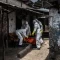 Wabah Ebola di Kongo: Korban Tewas Tembus 1587 Orang